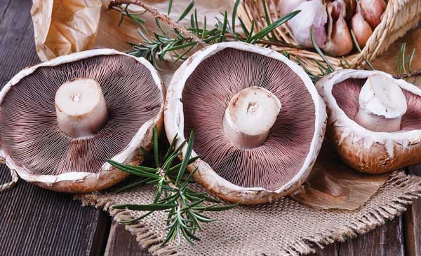 Portobello mushrooms