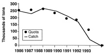 Fig. 3—Cod harvested from zone 2J3KL in the Canadian Atlantic. Harvest was equal to or less than the government quota except for the years 1989 and 1990, when the quotas were exceeded slightly. Data from FRCC (1993), redrawn from Ruitenbeek (1996)