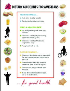 How Food Technologists React to the New Dietary Guidelines for Americans