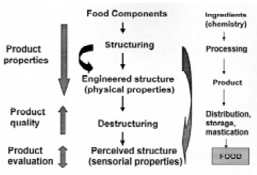 Fig. 2—Microstructural approach to food product engineering and structure property–relationships derived from it (center). This approach is centered on the product (left). Conventional view of food processing (right)