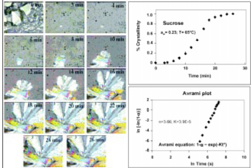 Fig. 5—Growth of a sucrose crystal from the rubbery phase, shown by polarized light videomicroscopy (left). Change in crystallinity with time and Avrami plot of kinetic data (right)