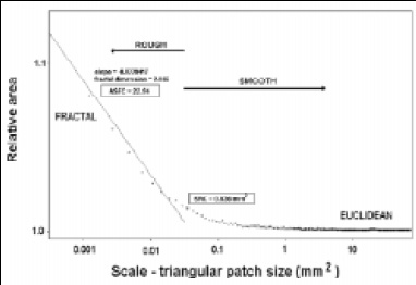 Fig. 6—Characterization of the surface of a chocolate bar. Log-log plot of relative area (apparent area divided by the projected area) vs the area (scale) of the patch used in the tiling exercise. Parameters characterizing the surface are the smooth–rough transition (SRC) and the area-scale fractal complexity (ASFC)