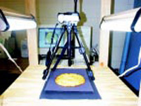 Fig. 1—Experimental setup of the light system, digital camera, and food sample