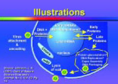 Fig. 33 Thinking Visually :Graphic Tips for Technical Presentations