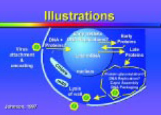 Fig. 34 Thinking Visually :Graphic Tips for Technical Presentations