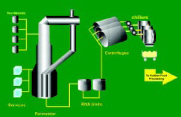 Fig. 2—Production of mycoprotein