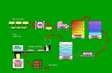 Fig. 3—Production of food from mycoprotein