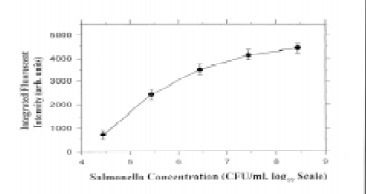 Fig. 3—Salmonella detection with fiber-optic tips. From Zhou et al. (1997)