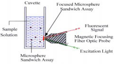 Fig. 5—Magnetically focused microspheres