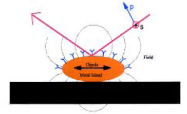 Fig. 7—Surface-enhanced infrared absorption (SEIRA) spectroscopy. From Brown et al. (1998)