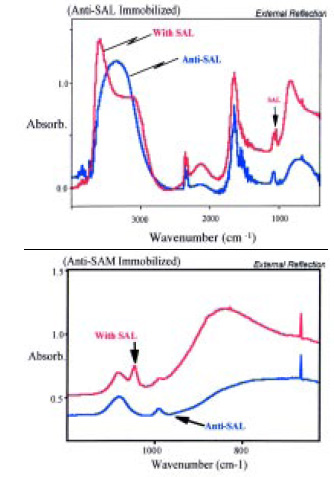 Fig. 8—SEIRA spectra of anti-Salmonella antibody with and without Salmonella. From Brown et al. (1998)