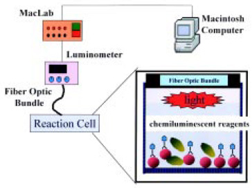 Fig. 9—Membrane biosensor design for chemiluminescence. From Ye et al. (1999)