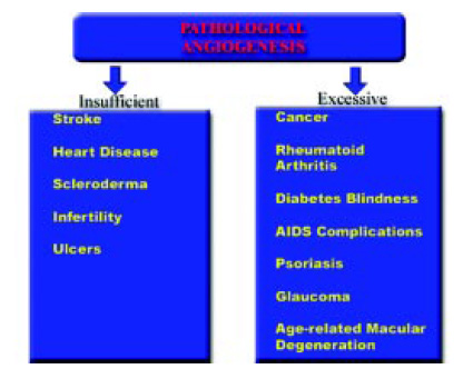 Fig. 2—Consequences of pathological angiogenesis.