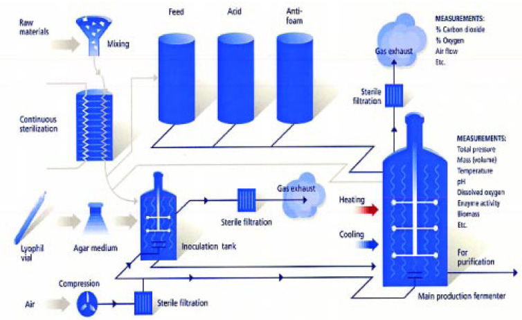 Fig. 1—Industrial process of enzyme production.