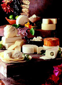 A variety of Hispanic-style cheeses including (1) Panela, (2) Manchego, (3) Mennonita, (4) Enchilado, (5) Queso Blanco Fresco, (6) Corija, (7) Queso Fresco, and (8) Oaxaca.