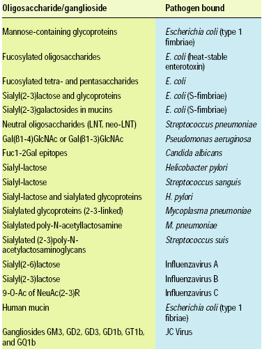 Table 3—Oligosaccharides from milk and the pathogenic microorganisms shown to be bound. From Kunz et al. (2000), Patton (2000), Komagome et al. (2002)