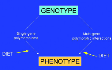 Fig.2—Scientific principle of nutrigenomics