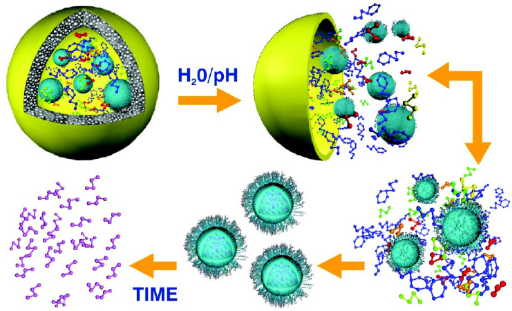 Fig. 1—How the controlled-release encapsulation system works. Nanospheres (blue) containing an active ingredient (purple) are encapsulated with other ingredients such as flavors, cooling or heating agents, or sweeteners, within a microsphere (yellow). Upon exposure to water or pH, the microsphere releases its contents, and over an extended period of time the nanospheres release the encapsulated active ingredient via molecular diffusion and enzymatic degradation by lipase. The surface properties of the nanospheres (shown as squiggly lines) can be altered to be bioadhesive or negatively or positively charged depending on the intended target site.
