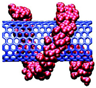 Fig. 2—Amylose chain coiled around a single-wall carbon nanotube. From Dagani (2002).
