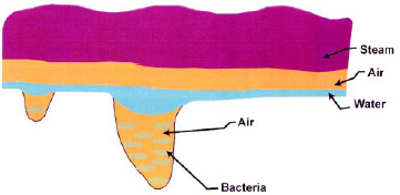 Fig. 1—Cross-section of solid food surfaces.