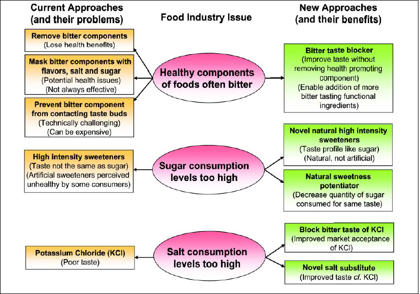 Fig. 1—A deeper understanding of the science of taste is offering new solutions to food industry problems.