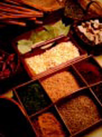 A  DEVELOPING FOODS REPORT SPICES AND ETHNIC FOODS