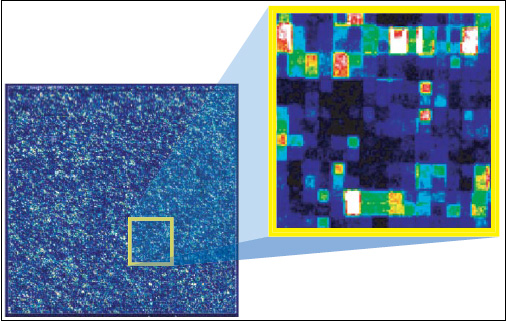 Fig. 8—A computer readout from a scanned microarray shows the genes that are detected by a single GeneChip® probe array. When zoomed in on, scientists can see the different levels of fluorescence coming from the individual probe locations. Some probes detect their complementary sequence (strong intensity, white and red features), and some do not (weak intensity, blue and black features).