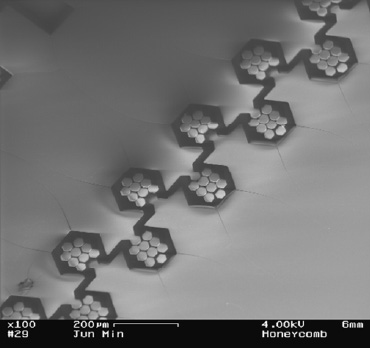 Fig. 5—Possible micromixer made in polydimethyl siloxane. An intricate “honeycomb” structure is used to passively mix two solutions flowing through the microchannel.