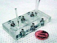 Fig. 4—Assembled microfluidic biosensor module. The biosensor is made in polydimethyl siloxane and packed in Plexiglas to provide connection to the outside world.