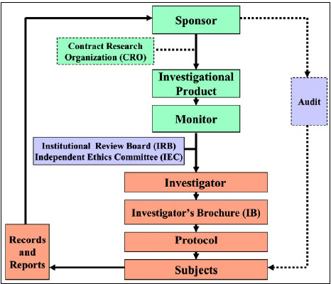 Fig. 1—Step-by-step procedure for conducting a clinical trial according to the principles of Good Clinical Practice. Colors indicate different trial components (green = owner/ manager; blue = judge/overseer, brown = implementer/researcher). Solid line = necessary components, dotted line = optional components.