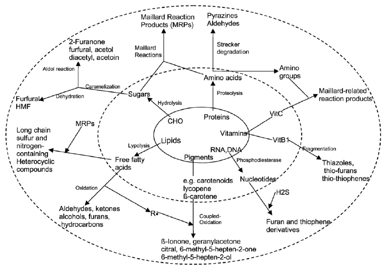 Fig. 1—Chemical reactions important to flavor formation. From Sucan et al. (2002).