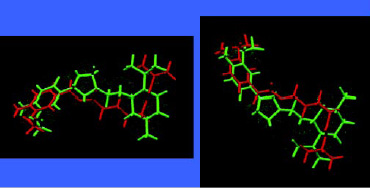 Fig. 10—Structural comparison of 4-(l-menthoxy-methyl)-2-(3´-methoxy-4´-hydroxyphenyl)-1,3-dioxolane superimposed in two views on capsaicin,the pungent ingredient in chili peppers.
