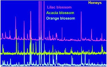 Fig. 2—Differences in honey flavor chromatographic profiles from various sources, indicating the aroma profile of the honey using a static proprietary sampling method called Crownspace.