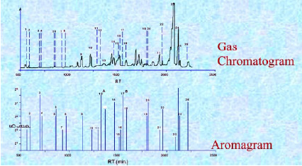 Fig. 4—Comparison of a gas chromatogram to an aromagram.