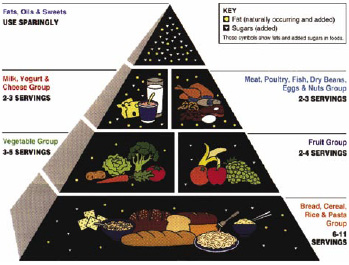 Fig. 1—USDA’s Food Guide Pyramid. From Food and Nutrition Information Center at the National Agricultural Library (www.nal.usda.gov/fnic/Fpyr/pyramid.html).