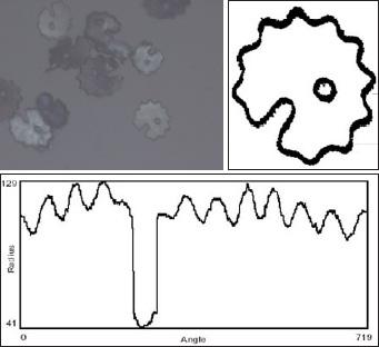 Fig. 3—Illustration of an algorithm for decoding a marker. The marker nearest the bottom right corner of Fig. 3a is isolated in Fig. 3b, and the distance in pixels from its center to its edge at half-degree radians is plotted in Fig. 3c. The large depression third from left is the mouth; the eye is not shown in this graph. The two serrations on either side of the mouth do not project far enough out from their adjacent troughs to form a distinct peak, so the algorithm interprets them as zeros. The nine longer serrations are interpreted as ones, so the code on this marker is 01111111110 or 1,022.