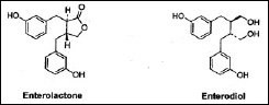 Fig. 2—Structure of mammalian lignans.