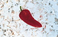 Chile peppers are increasingly used to add flavor to everything from salty snacks to decadent desserts.