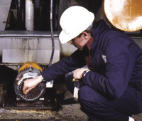 Inspector uses a swab to sample an open-back motor fan cover for microbiological contamination in a food processing plant.