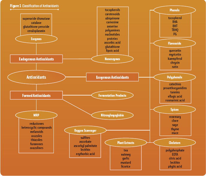 Figure 1 Classification of Antioxidants