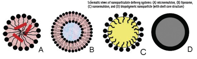 Figure 1 Schematic views of nanoparticulate delivery systems: (A) microemulsion, (B) liposome, (C) nanoemulsion, and (D) biopolymeric nanoparticle (with shell core structure)