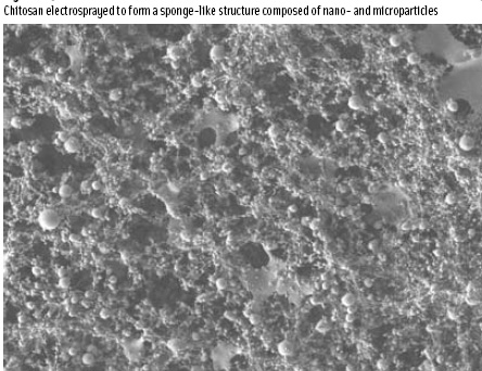 Figure 3 Chitosan electrosprayed to form a sponge-like structure composed of nano- and microparticles