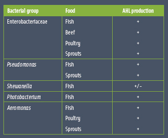 Table 1: Production of AHLs by Gram-negative bacteria isolated from different food items. Modified from Gram et al. (2002)