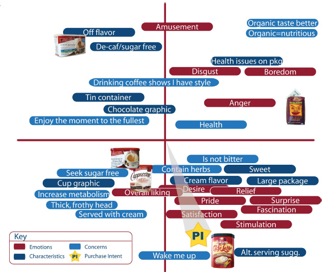 Figure 3.Perceptual map of the “Frothy” segment indicates how purchase intent is associated with emotions, concerns, and product characteristics.