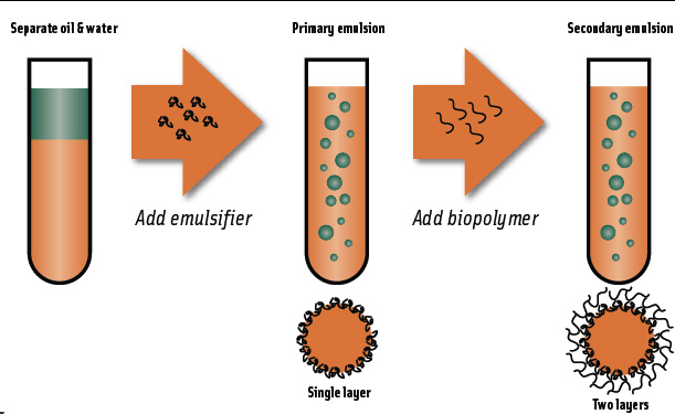 Formation of a number of nanolayers around particles.