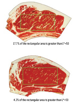 Figure 3. Quantification of the degree of marbling of a meat cut.