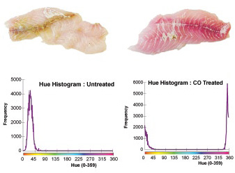 Figure 4. Hue histograms of CO-treated and untreated snapper fillets.