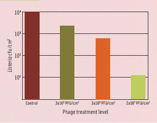 Figure 4. Reduction of bacteria by phages at varying concentrations. Salmon was artificially contaminated and treated with phages. This illustrates the need to apply a critical amount of phages.