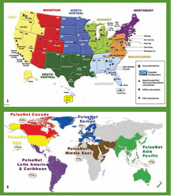 Figure 3. Depiction of (a) the national PulseNet molecular subtyping network for foodborne disease surveillance and (b) the international PulseNet network for foodborne disease surveillance. Figures 3a and b were provided by Peter Gerner-Smidt, CDC.