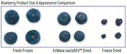 Blueberry Product Size & Appearance Comparison